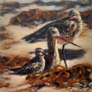 Sandpiper Family, 12" x 12", oil