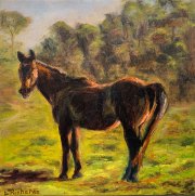 In the Pasture, 12