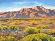 Brittlebush in Bloom, 12" x 16", oil