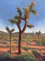 Joshua Tree in Bloom, 12" x 16", oil