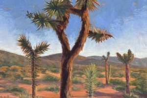 Joshua Tree in Bloom, 12" x 16", oil
