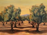 Snow Creek Olive Orchard, 9" x 12", oil